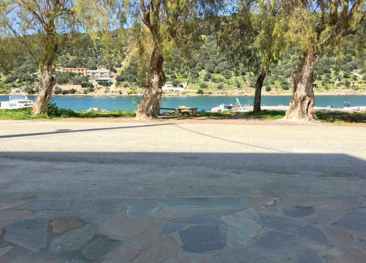 Sea Front Studio - Porto Boufalo - Evia Exterior photo